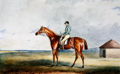 Lord Jersey