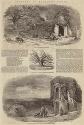 Schetsen in Hainault Bos