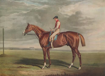 Velocipede, winnaar van de St. Leger