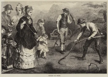 Voorbereidingen voor Croquet