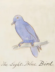 De lichtblauwe vogel, uit Zestien tekeningen van komische vogels
