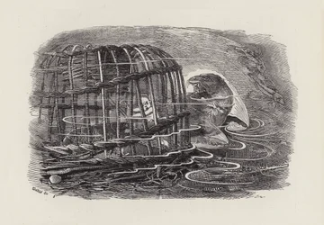 Illustratie voor The Water-Babies door Charles Kingsley