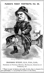Thomas Henry Huxley, Engelse bioloog, 1881