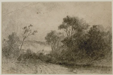 Landschap met daken achter bomen