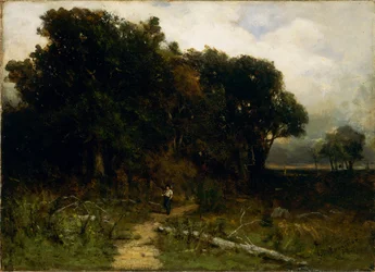 Zonder titel (landschap, houthakker op pad)