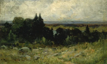 Naamloos landschap, velden met rotsen en bomen
