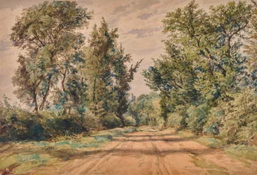 Landschap met Weg