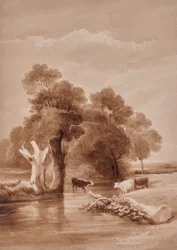 Landschap met stroom