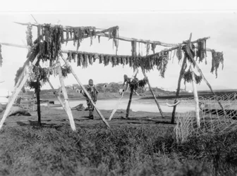Een Eskimoman die onder een structuur staat met walvisvlees dat hangt te drogen, c.1929