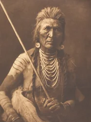 Wolf - Apsaroke, 1908