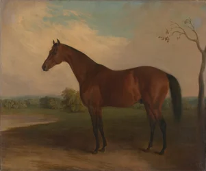 Soeverein