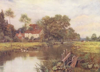 Door de bloemrijke weide