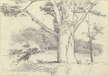 Nr. Lyndhurst, aug. 1871