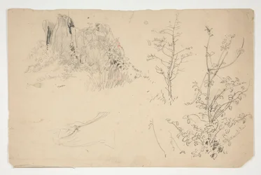 Schetsen van bomen