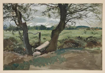 Studie van twee bomen en een veld