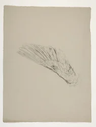 Studie van vleugel voor de jeugd van Galahad, uit de zoektocht naar de Heilige Graal (een serie van vijftien schilderijen voor de Boston Public Library, voltooid in 1901)