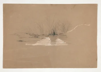 Bomen aan de oever van de rivier (?)