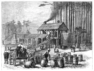 Terpentijnfabriek, North Carolina, 1870