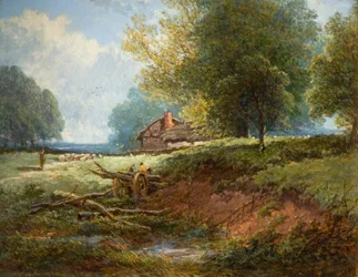 Weidelandschap