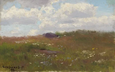 Weide met zomerbloemen