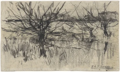 Knotwilgen langs het water