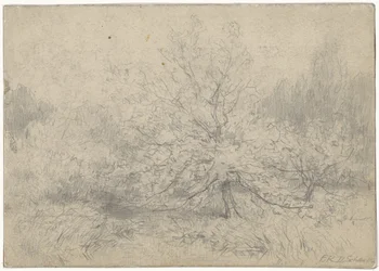 Landschap met een boom prominent in het midden