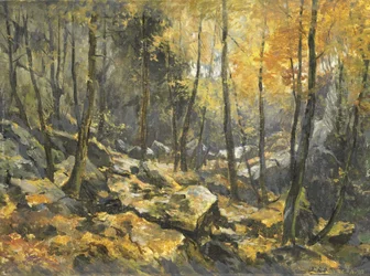 Zee van rotsen