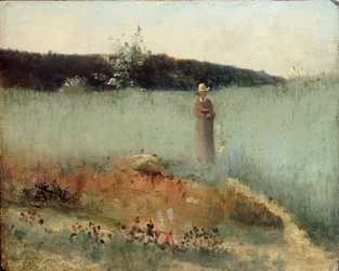 Veld van Rogge, Barbizon