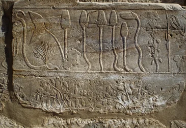 Reliëf van dieren en planten aangeboden aan Amun door Thoetmosis III na zijn terugkeer van de campagne in Syrië in 1465 v.Chr., Botanische Tuinkamer, Karnak, Thebaanse Necropolis, Luxor, Egypte, Nieuwe Rijk, Dynastie XVIII