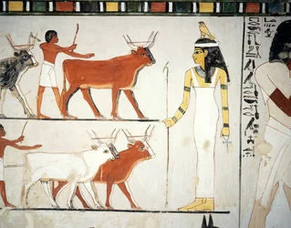 Herders en vee voor de godin Imentet, fresco, zuidmuur, longitudinale kamer, Thebaanse Tombe TT69, Sheikh Abd el-Qurna, Thebe (Unesco Werelderfgoedlijst)