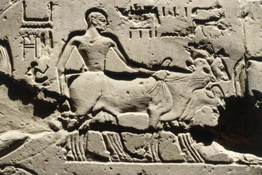 Egypte Oude bes, Luxor, Luxor Tempel, Binnenplaats van Ramses II, reliëf, Nieuwe Koninkrijk, Dynastie XIX (1290-1224 v.Chr.)