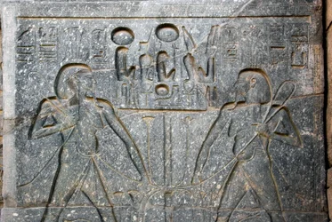 Egyptische oudheid: detail van de basis van het standbeeld van Farao Ramses II (1292-1186 v.Chr.) dat de vereniging van Opper- en Neder-Egypte voorstelt. Tempel van Luxor. Oostelijke Oever (Thebe), Egypte