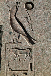 Hiëroglief met de naam van Horus, Grote Tempel van Amon, Tanis, Egypte, Nieuwe Koninkrijk, Dynastie XIX