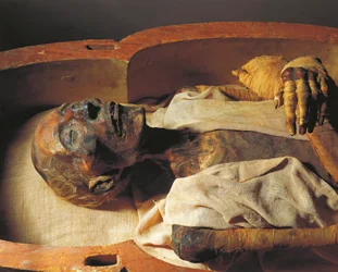 Mummie van Ramses II (ongeveer 1297-1213 v. Chr.), detail