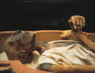 Mummie van Ramses II, detail