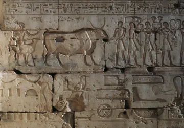 Reliëf, Tempel van Ramses II, Abydos, Egypte, Egyptische beschaving, Nieuwe Rijk, Dynastie XIX (foto)