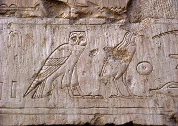 Egyptische oudheid: reliëf van een uil en een adelaar. Graf van Ankh-Hor (TT414) (26e dynastie, 672-525 v.Chr.), Luxor (Thebe), Egypte