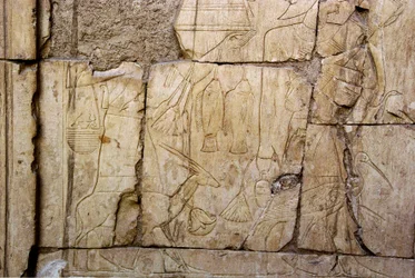 Egyptische oudheid: reliëf dat dragers van offers voorstelt. Graf van Ankh-Hor (Ankh Hor) (TT414) (26e dynastie, 672-525 v.Chr.), Luxor (Thebe), Egypte