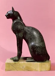 Beeld van een kat