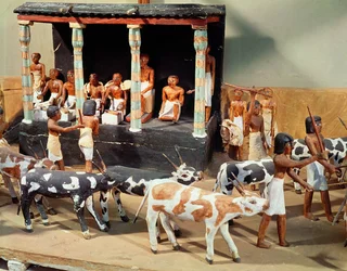 Funerair model van een veetelling, uit het graf van Meketre, Thebe, Middenrijk, ca. 2000 v.Chr. (detail)