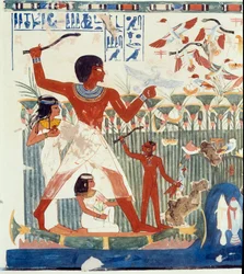 Kunst Egypte: Vogels jagen