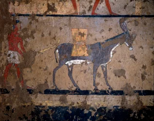 Egyptische oudheid: het transport van graan op de rug van een muilezel. Temperaschildering van de muur van het graf van de kanselier van koning Iti (of Ity) 2200-2000 v.Chr. Uit El Ghebelen, Luxor. Turijn, Egyptisch museum