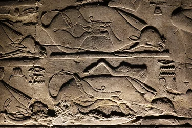 Luxor Tempel: Geofferde koeien (reliëf)