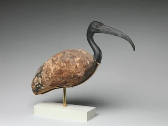 Ibis (beschilderd hout en brons, glazen ogen)