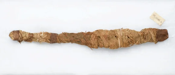 Krokodillenmummie, gevonden in Manfalont