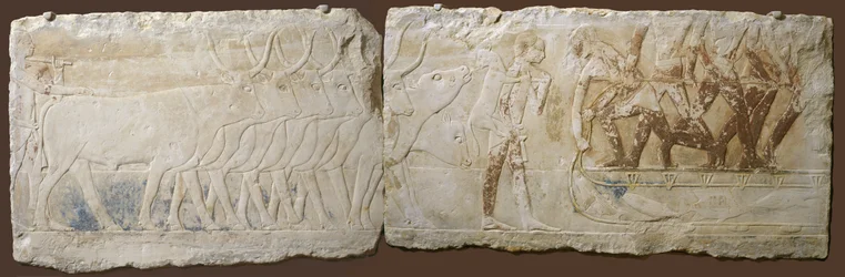 Reliëf van boeren die vee drijven en vissen, Oude Koninkrijk, 2450-2290 v.Chr.