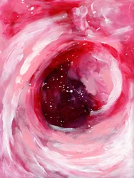 Wervelende roze cosmos