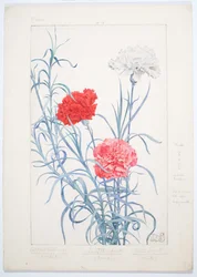 Anjers, ca. 1909 (Aquarel en grafiet op board)