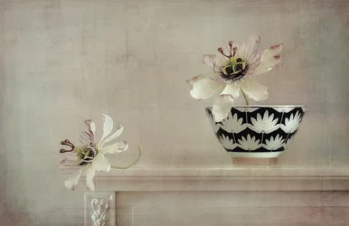 Stilleven met passiebloem