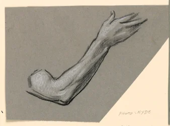 Studie van arm